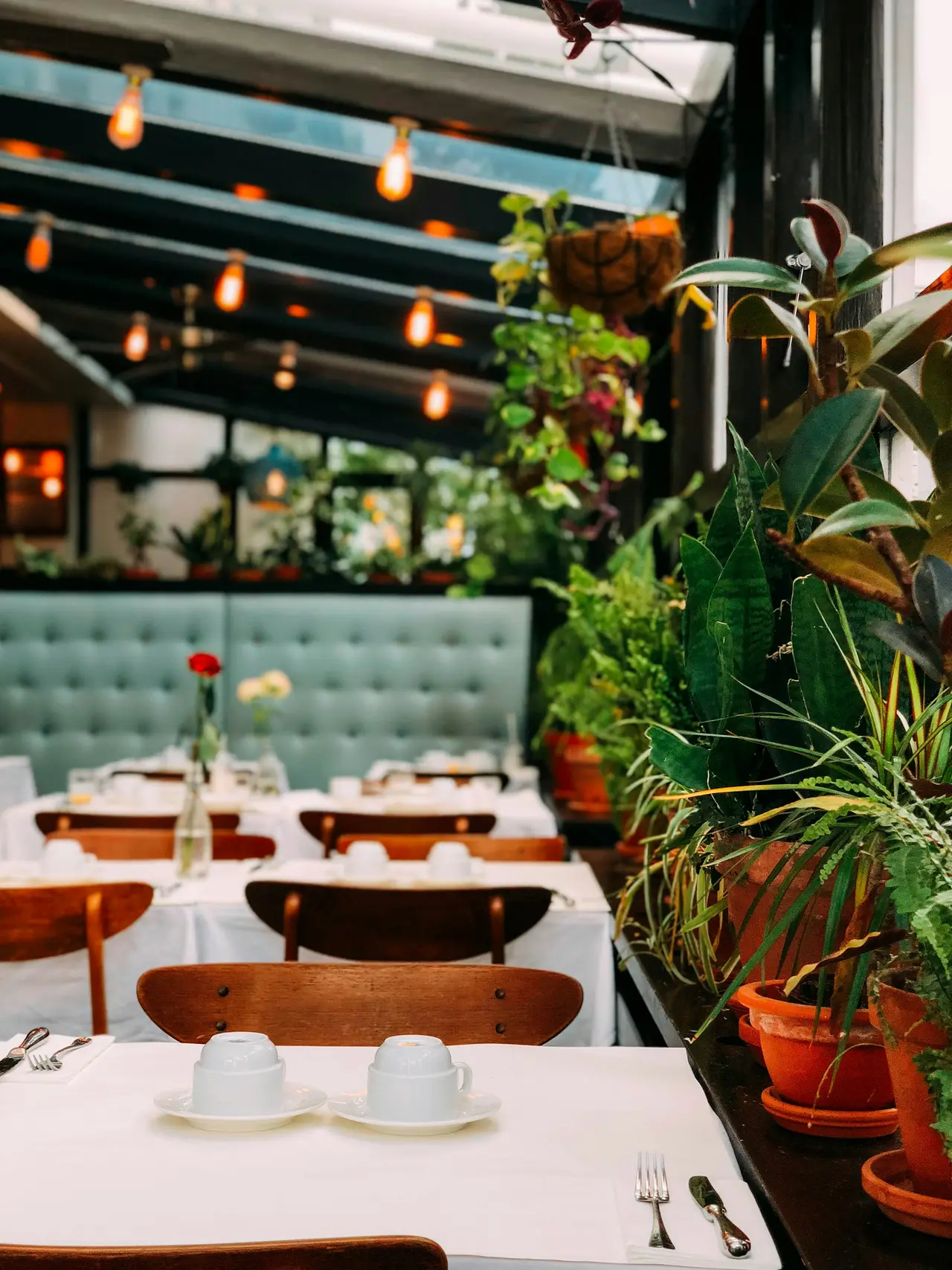 La salle, banquette vert d’eau et plantes